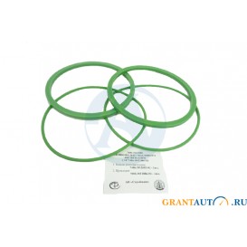 Р/к ФГОМ КАМАЗ ЕВРО масляного фильтра РТИ